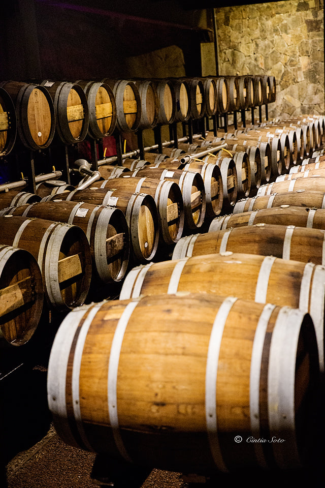 5J6A4906 copy (1).jpg__PID:c2f44d31-cc88-44e6-b6fb-5870161dfba8