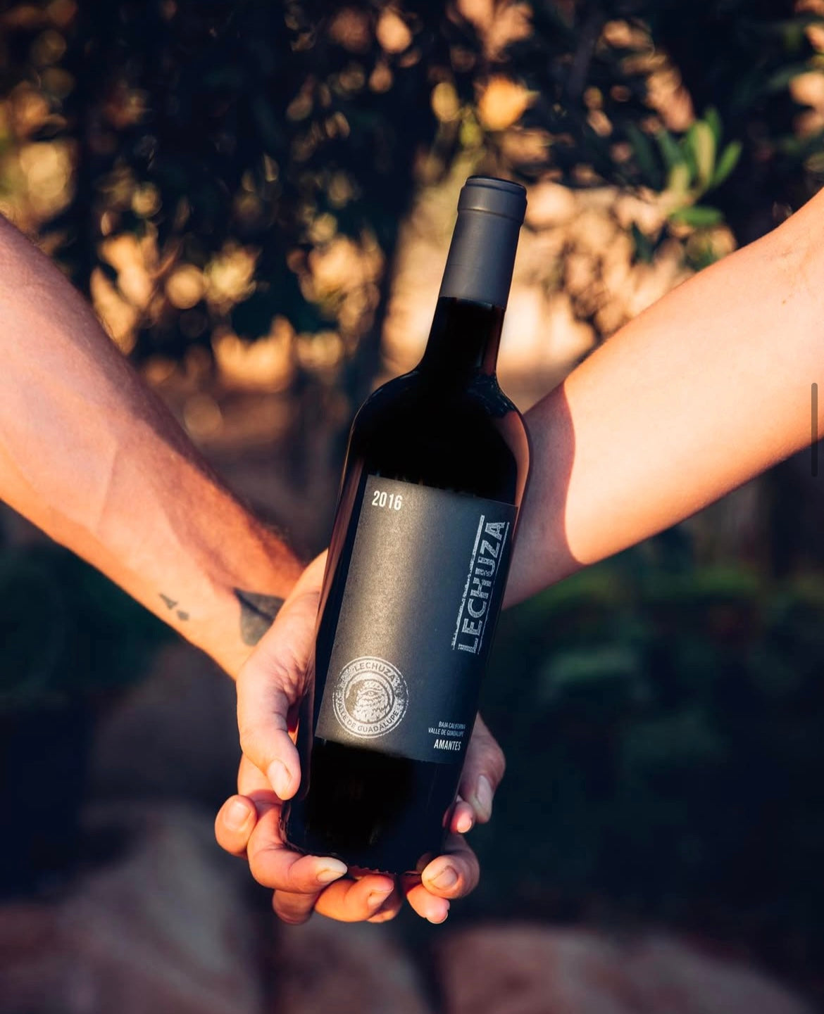 IMG_0679.jpeg__PID:232b41a2-0aa6-4ab1-8fd1-0d9e1524ba40