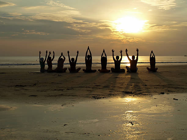 IMG_7191.jpeg__PID:2597761f-c025-4d88-b9b9-ef904255971e