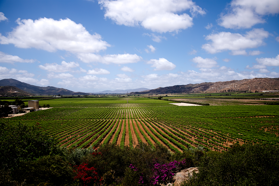 Screenshot 2025-01-09 002447.png__PID:c8fa6191-f801-4b6a-90a2-8bff04ccfb0c