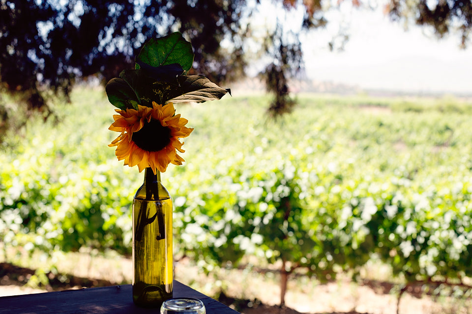 sunflower in a bottle.jpg__PID:2d49e754-a988-48e6-b704-839d389db634